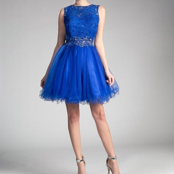 Cinderella Dresses & Skirts - NEW ROYAL  Scoop Neck Lace Bodice A-Line Dress CD0117